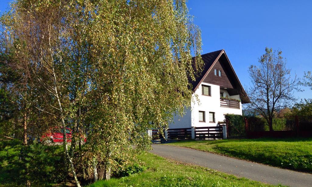 Apartment U Andela Dlouhá Ves 客房 照片