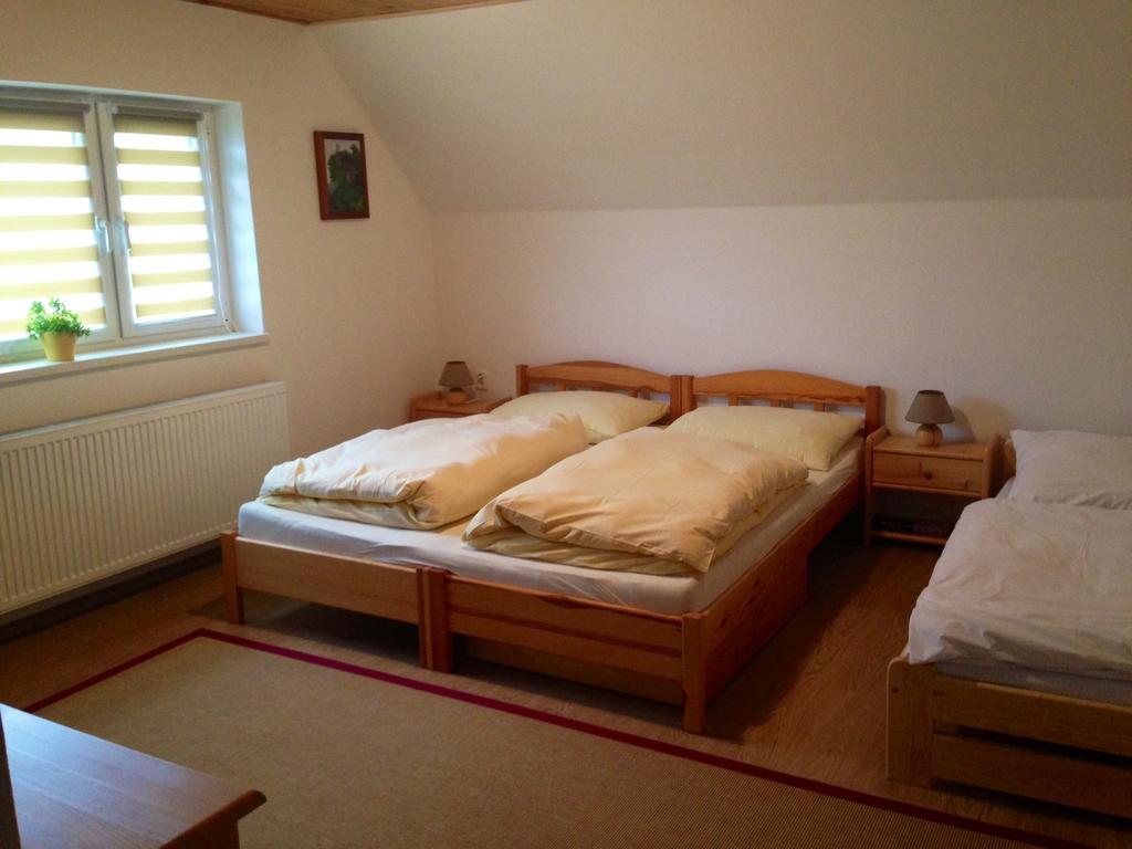 Apartment U Andela Dlouhá Ves 客房 照片